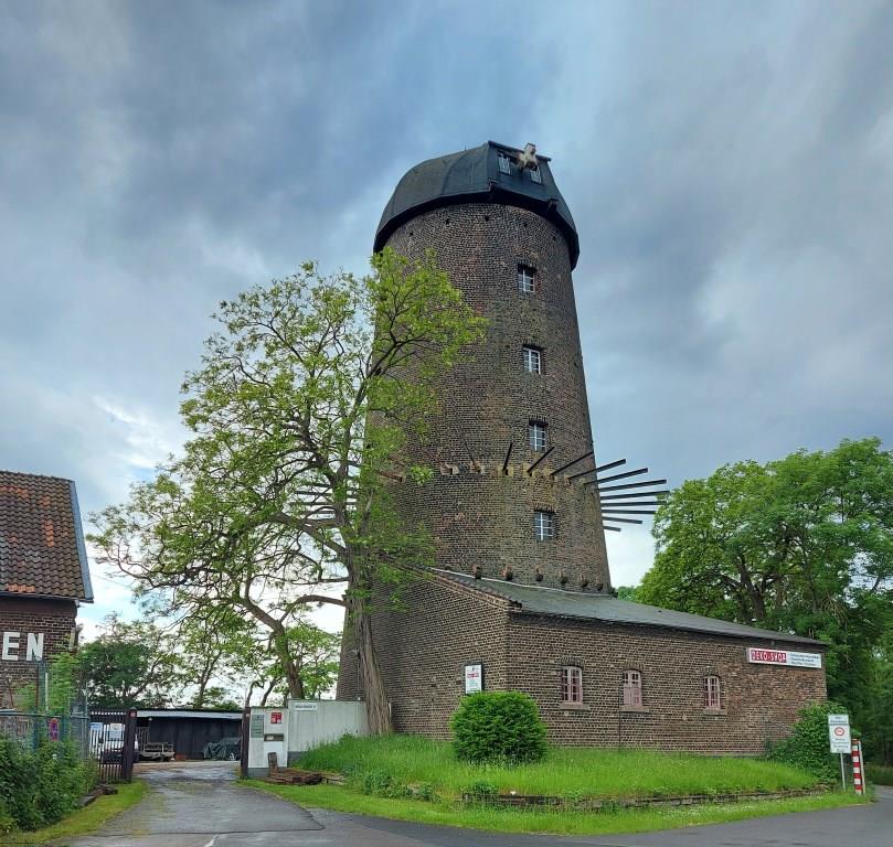 Godorfer Mühle - 2021